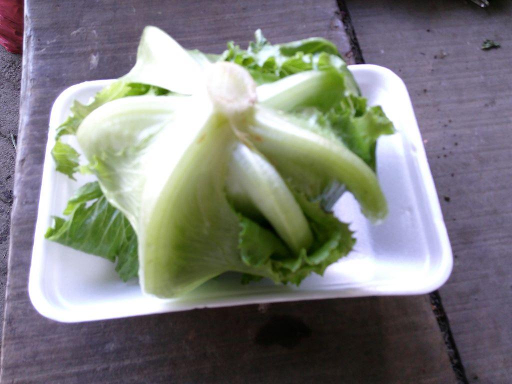 Selada Romaine