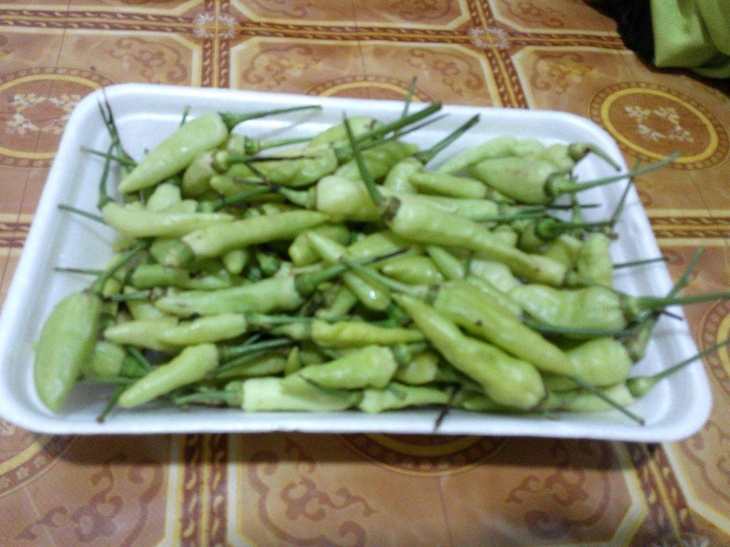 Cabai Rawit Hijau