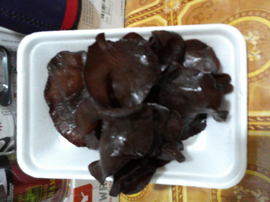 Jamur Kuping