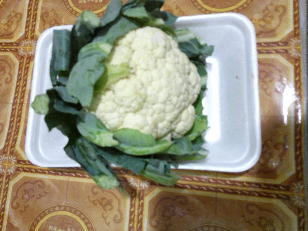 Bunga Kol