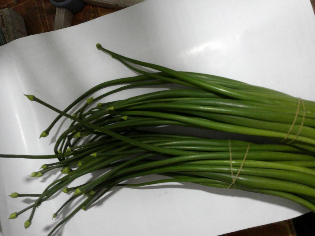 Bunga Bawang