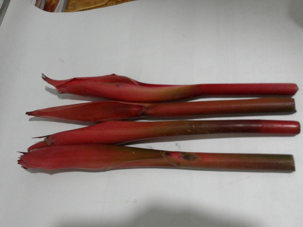 Kecombrang