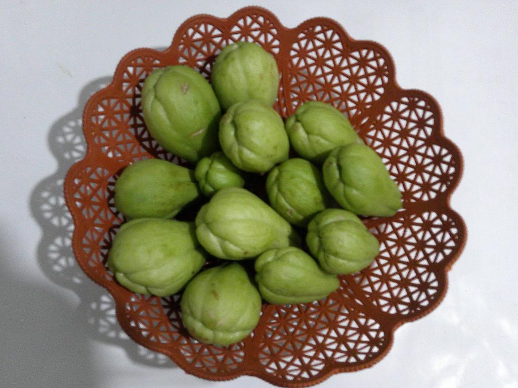Labu Siam